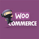 Woocommerce Extension