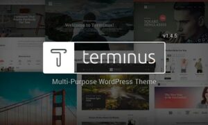 terminus-responsive-multi-purpose-wordpress-theme