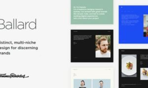 ballard-responsive-cv-wordpress-theme