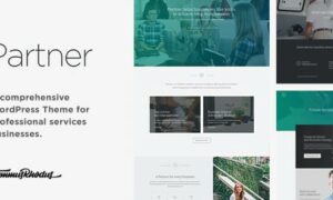partner-accounting-and-law-responsive-wordpress-theme partner-accounting-and-law-responsive-wordpress-theme