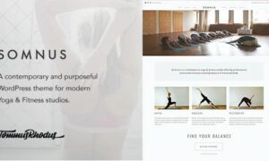 somnus-yoga-fitness-studio-wordpress-theme