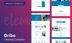 dribo-cleaning-company-template-kit-for-elementor-LQEXR8B