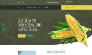 grain-grower-agriculture-farm-farmers-elementor-te-WZTV8KW