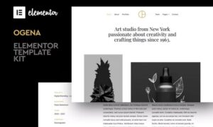 ogena-minimal-elementor-template-kit-CA6SNA3