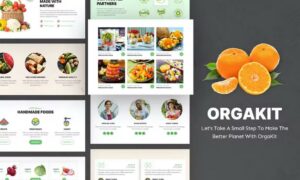 orgakit-organic-farm-elementor-template-kit-9L56VSG