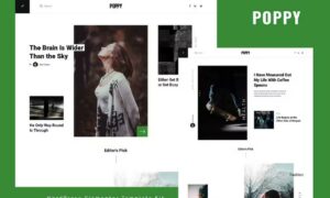poppy-blog-magazine-elementor-template-kit-JXBFYB9 poppy-blog-magazine-elementor-template-kit-JXBFYB9