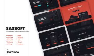 sassoft-mobile-app-fintech-startup-elementor-templ-GVHBPFB