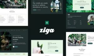 ziga-healer-life-coach-elementor-template-kit-JCJX5YT