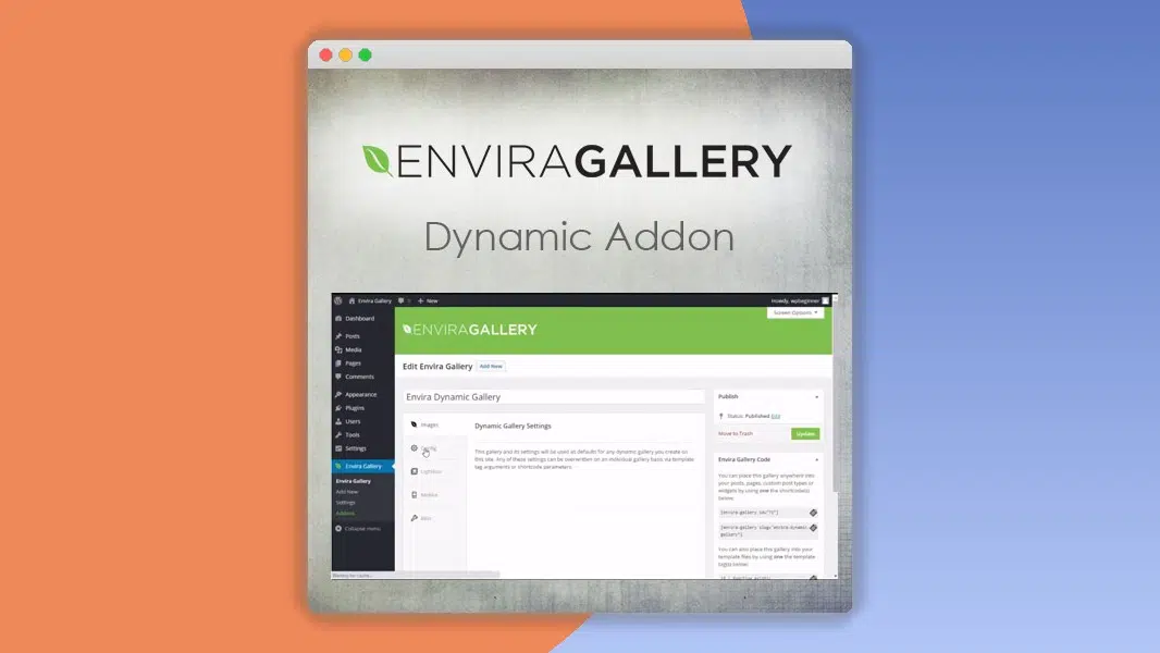 Envira Gallery – Dynamic Addon