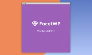 FacetWP Cache Add-On