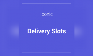 Iconic WooCommerce Delivery Slots