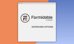 Formidable Datepicker Options