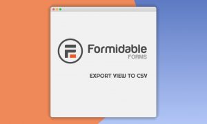Formidable Export View to CSV