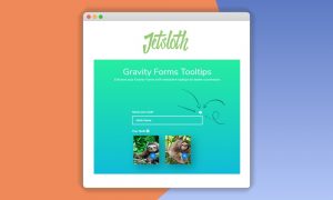 Jetsloth – Gravity Forms Tooltips