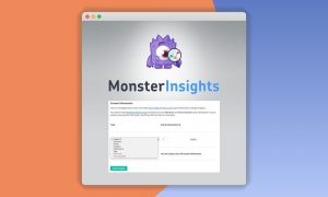 MonsterInsights – Dimensions Addon