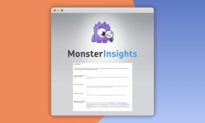 MonsterInsights – EU Compliance Addon