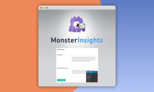 MonsterInsights – Performance Addon
