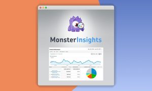 MonsterInsights – eCommerce Addon