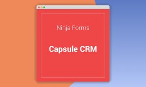 Ninja Forms Capsule CRM