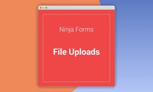 Ninja Forms File Uploads