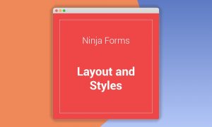 Ninja Forms Layout & Styles
