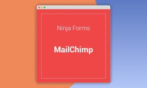 Ninja Forms MailChimp
