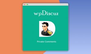 wpDiscuz – Private Comments